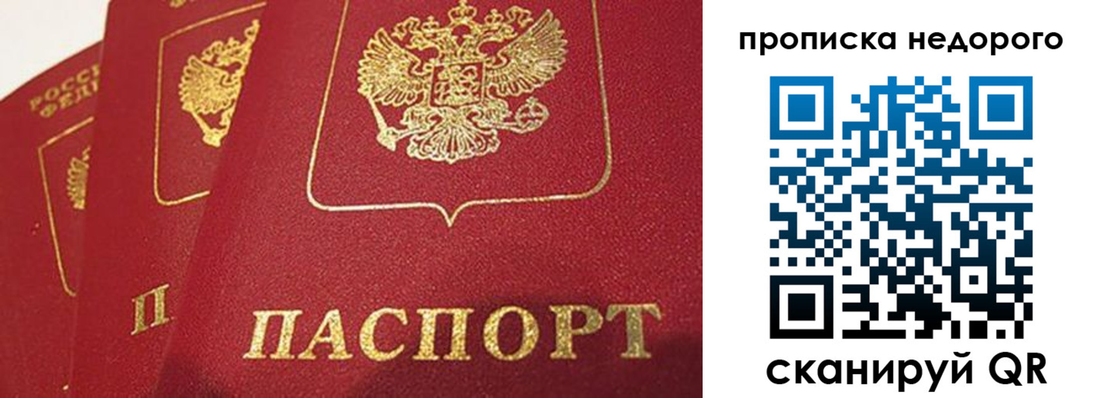 регистрация для школы в Гатчине